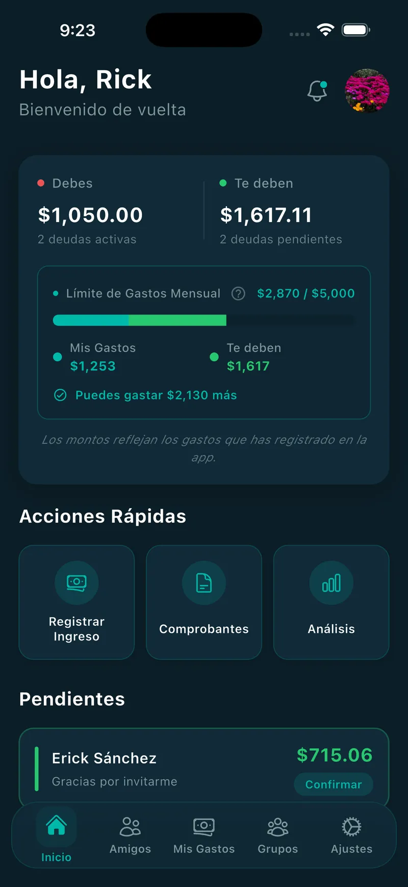 App preview — real-time balances